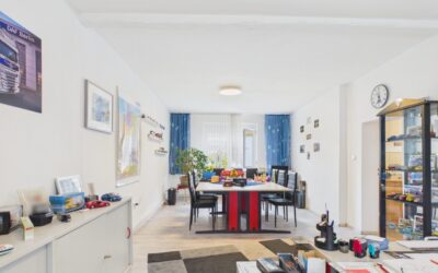 Immobilien 5 Wohnzimmer