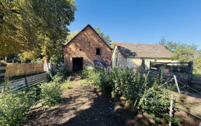 Scheune Und Haus