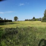 Bauland. Links Und Rechts In Verbindung Die Grundstücksgrenze