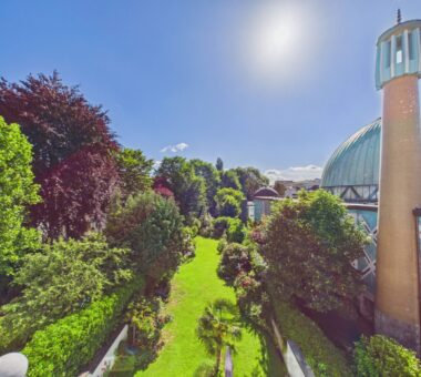 Sehr Schöner Garten