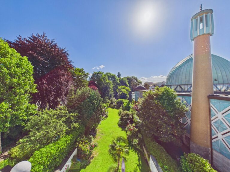 Sehr schöner Garten