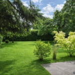 Ki-Visualisierung – Schöner Garten