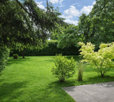 Schöner Garten