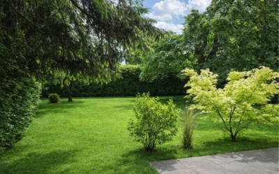 Schöner Garten