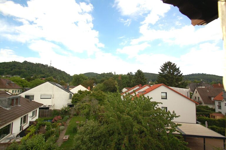 Ausblick