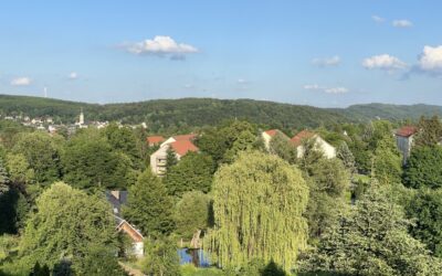Blick