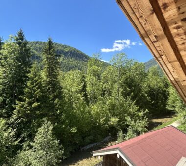Blick Vom Überdachten Freisitz
