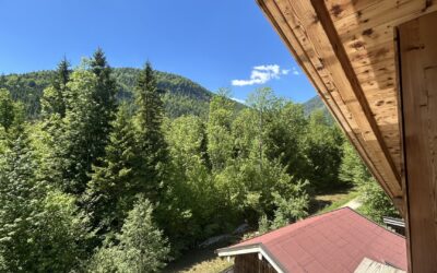 Blick Vom Überdachten Freisitz