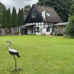 Img 0974