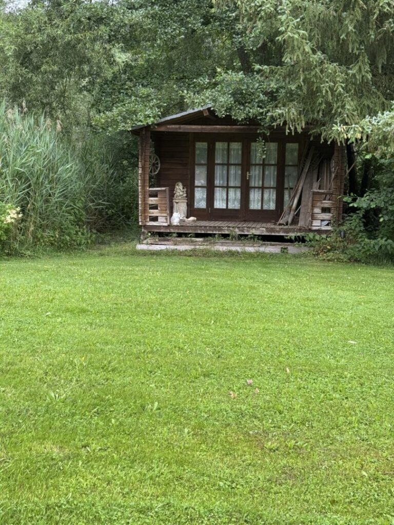 IMG 0973