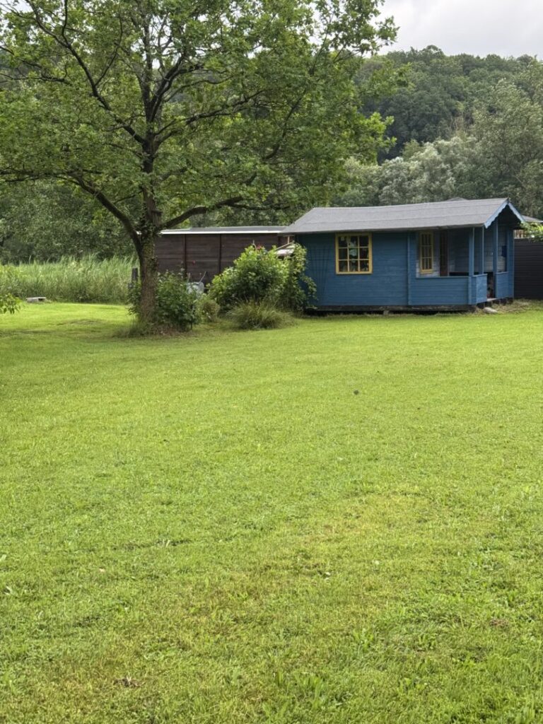 IMG 0972