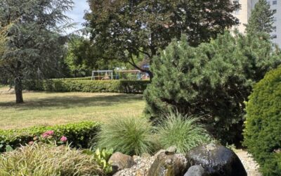 Spielplatz Im Blick