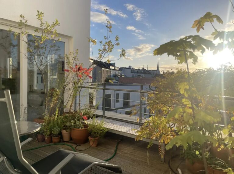 In der Sonne ganz oben!