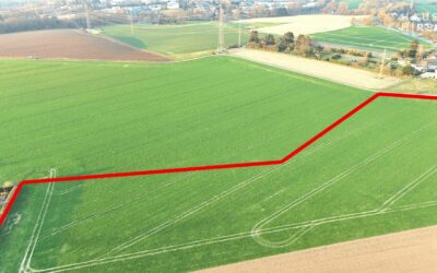 Immobilien 1 Ansicht Süd