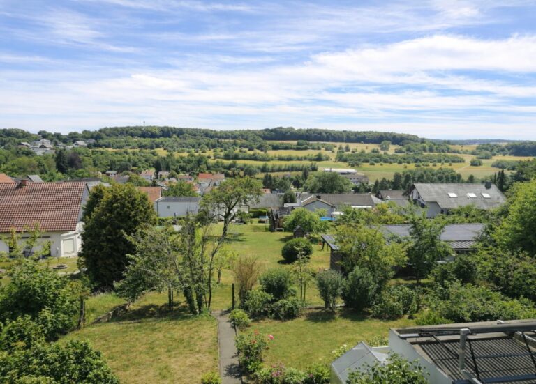 Ausblick