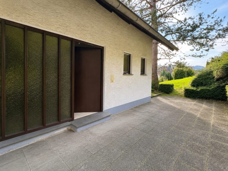 Eingang / Terrasse leer