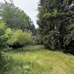 Mehr Natur Geht Nicht