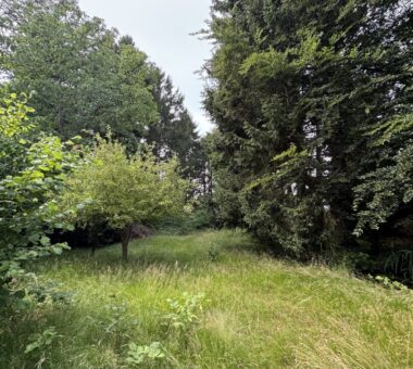 Mehr Natur Geht Nicht