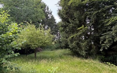 Mehr Natur Geht Nicht