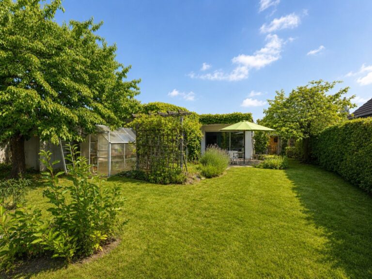 Garten mit Gewächshaus