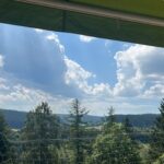 Ausblick