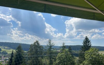 Immobilien 4 Ausblick