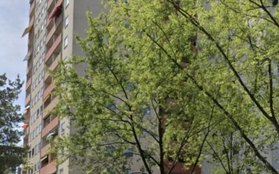 Immobilien 1 Außenansicht
