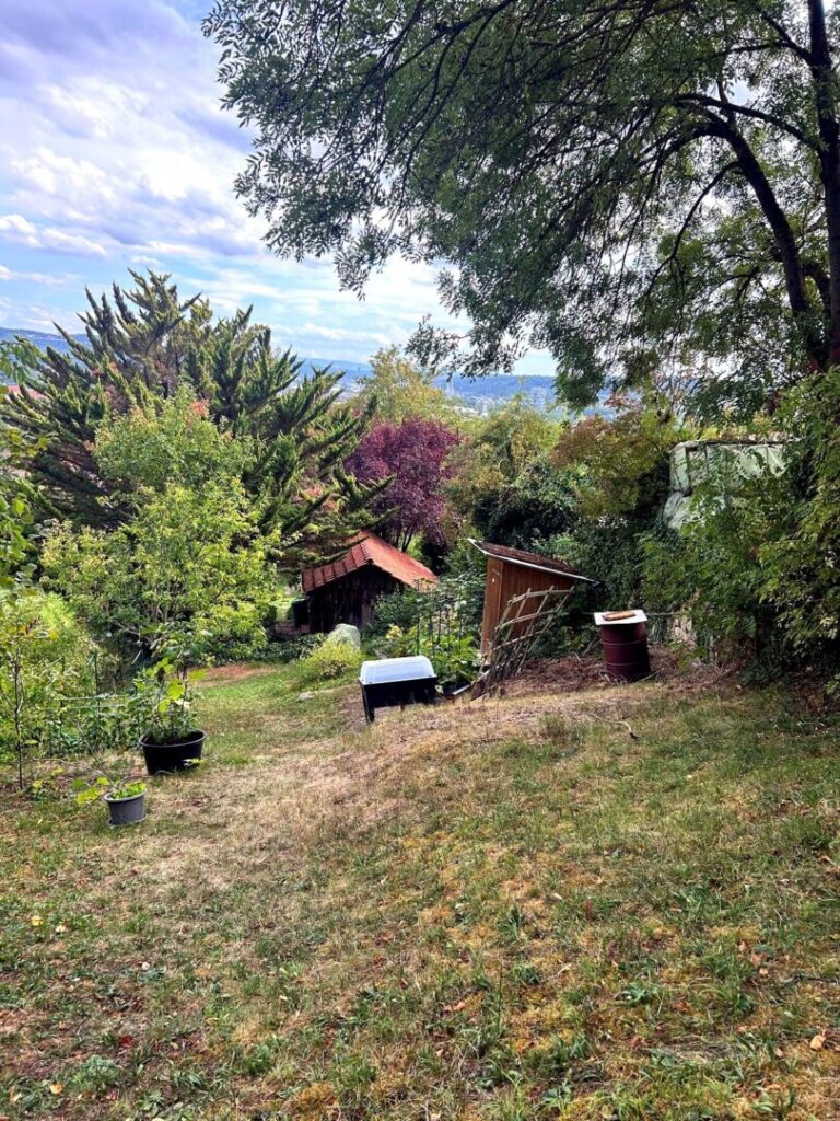 Apfelbaum und Gartenhaus 2