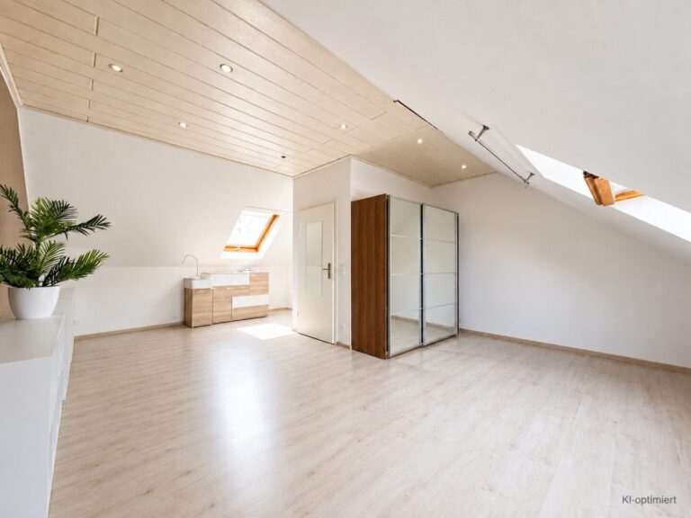 DG Studio