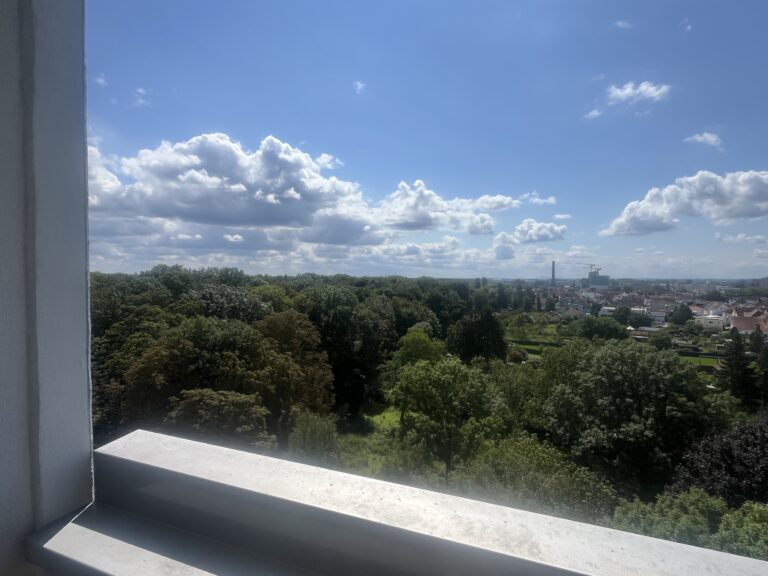 Blick