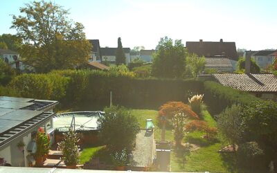 Immobilien 3 Blick In Den Garten