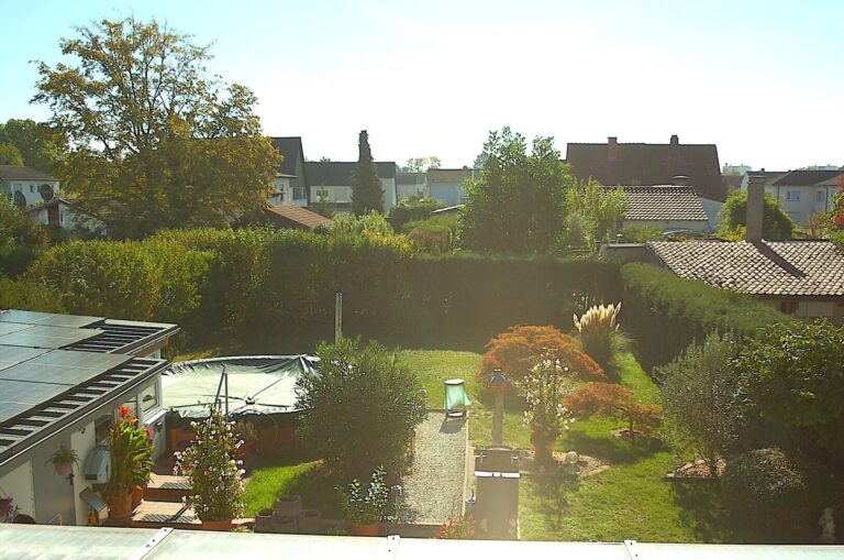 Blick in den Garten