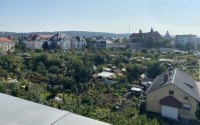 Blick Von Der Terrasse