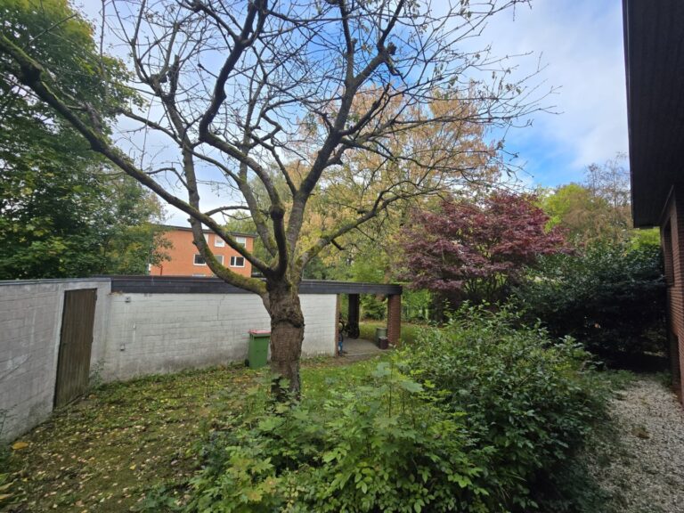 Vordergarten/Garage