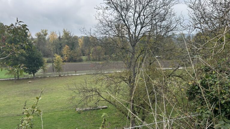 Blick in die Natur