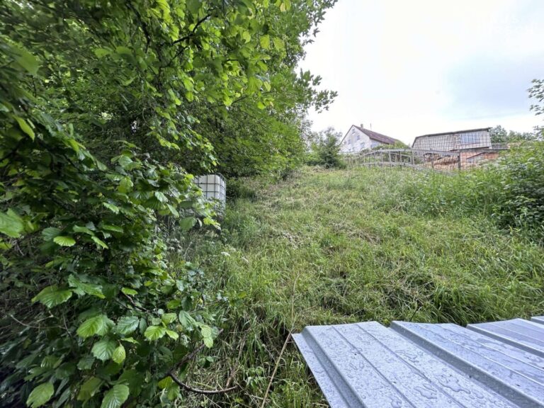 Viel Platz am Südhang