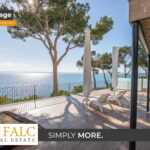 [Cover] Falc-Overlay-Image-%5Btime%5D.jpeg