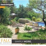 [Cover] Falc-Overlay-Image-[Time]