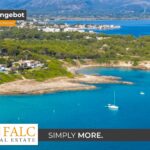 [Cover] Falc-Overlay-Image-%5Btime%5D.jpeg