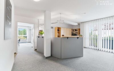 Bürofläche/ Empfangsbereich