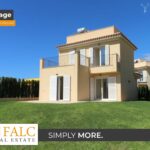 [Cover] Falc-Overlay-Image-%5Btime%5D.jpeg