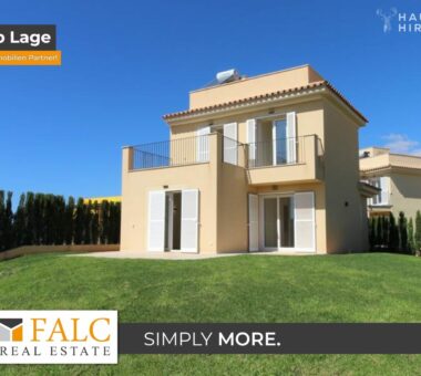 [Cover] Falc-Overlay-Image-%5Btime%5D.jpeg