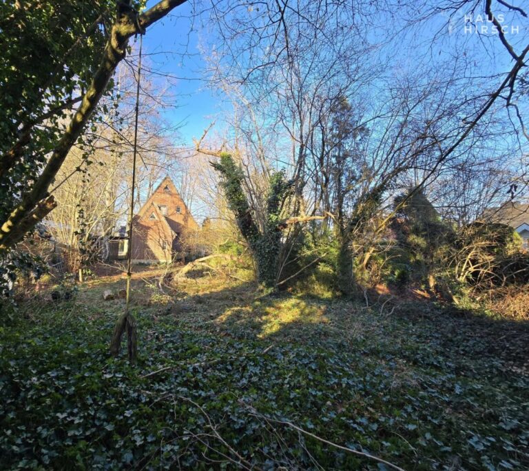 Rückwärtiger Garten