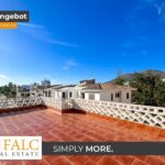 [Cover] Falc-Overlay-Image-%5Btime%5D.jpeg