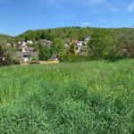 Top-Lage Mit Weitblick