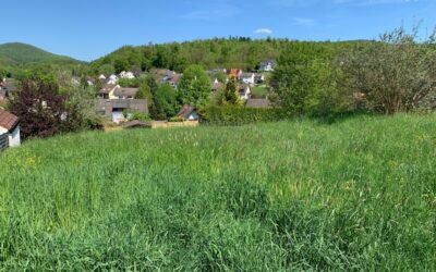 Top-Lage Mit Weitblick