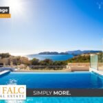 [Cover] Falc-Overlay-Image-%5Btime%5D.jpeg