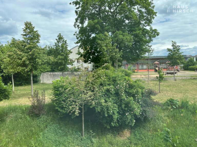 Ausblick aus Fenster