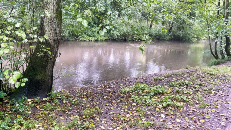 Der Alsterlauf-um's Eck