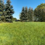 80Ebfda0Baa5Cbf971630Ef3B1C0E576